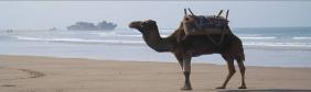 Essaouira Beach