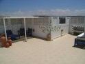 Terrace dining area and sunbeds